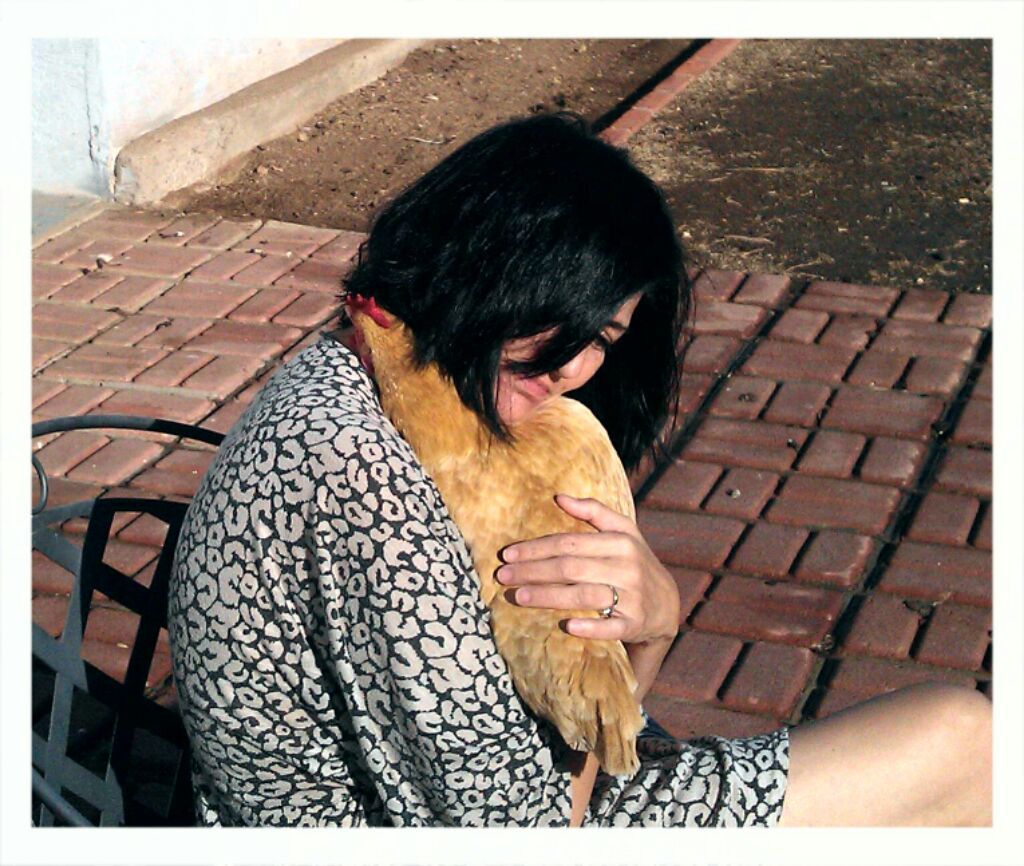 Readers show their chickens